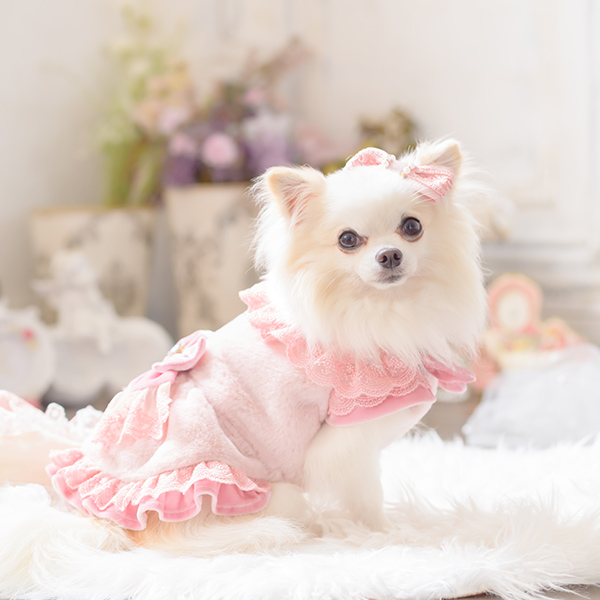 CanNana きゃんナナ 犬 服 犬服 犬の服 おしゃれ ブランド