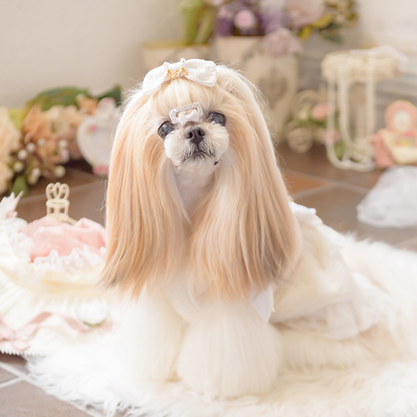 犬服・アクセサリー NaNa 04-LB267_7.jpg