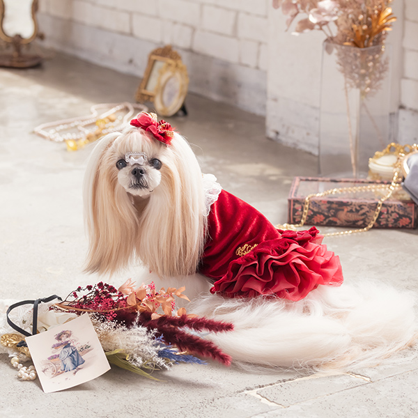 CanNana きゃんナナ 犬 服 犬服 犬の服 おしゃれ ブランド シーズー