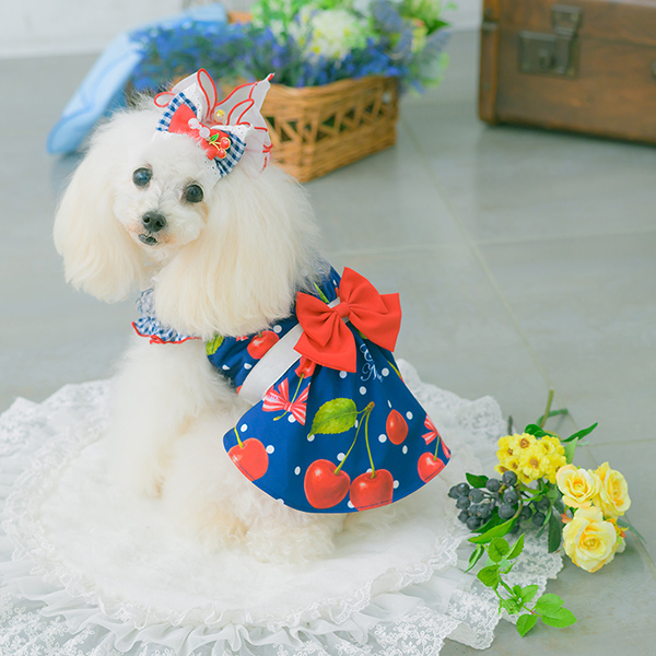 CanNana 犬 アクセサリー バレッタ リボン オーガンジー アレンジ 上品