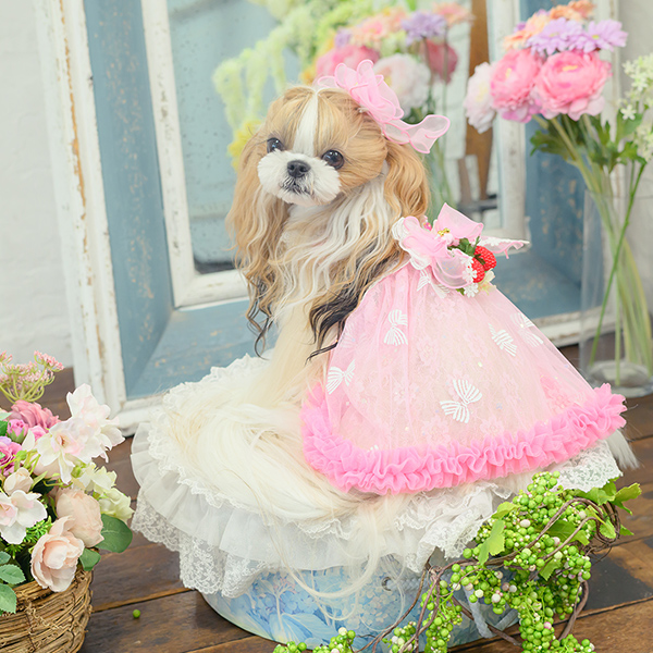 CanNana 犬 アクセサリー バレッタ リボン オーガンジー アレンジ 上品