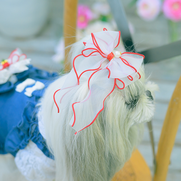 CanNana 犬 アクセサリー バレッタ リボン オーガンジー アレンジ 上品