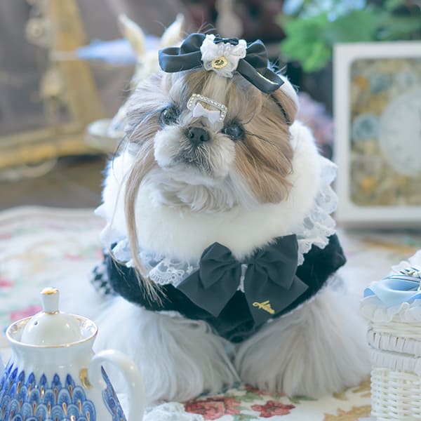CanNana リボン バレッタ アクセサリー 不思議の国のアリス 犬服