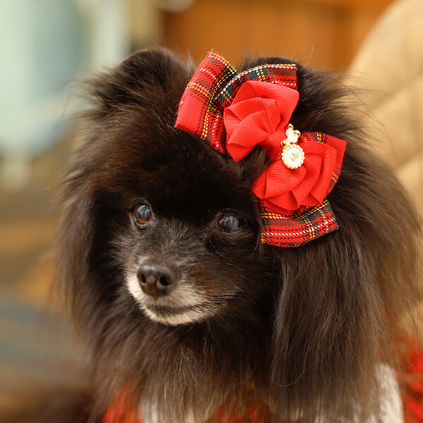 CanNana 犬 リボン バレッタ チェック タータンチェック アクセサリー