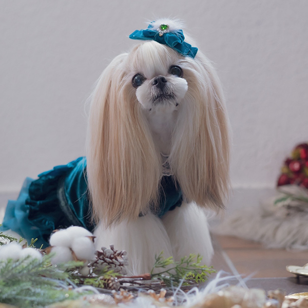 CanNana 犬 リボン バレッタ アクセサリー ベルベットリボン