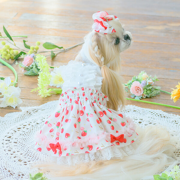 CanNana 犬 アクセサリー 春 角度一定スタンド式 いちご柄シフォン