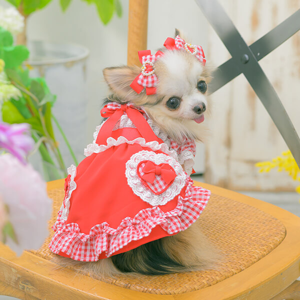 CanNana 犬 アクセサリー バレッタ リボン ハート ギンガム 小さめ