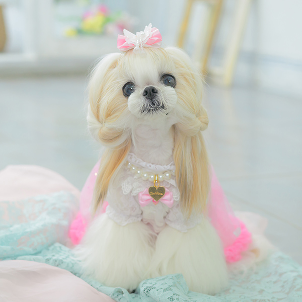 きらきらバタフライバレッタリボン01