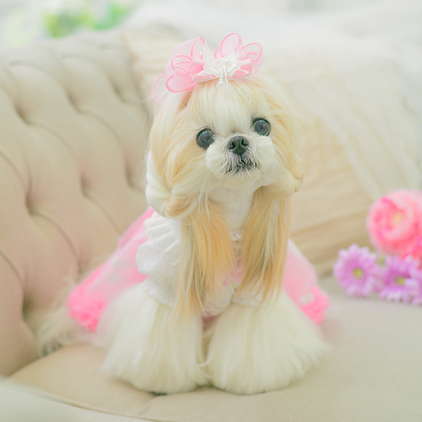 きらきらバタフライバレッタリボン10