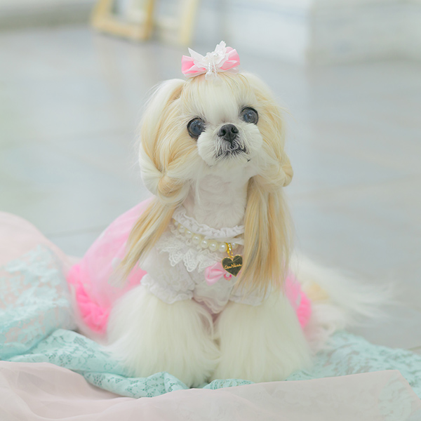 きらきらバタフライバレッタリボン11