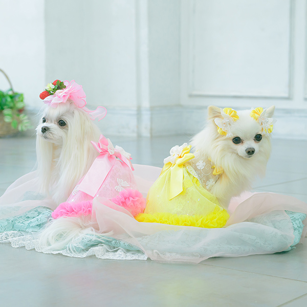 きらきらバタフライバレッタリボン12