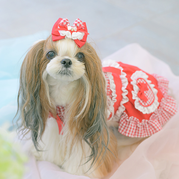 CanNana 犬 アクセサリー バレッタ リボン ギンガム レース フリル