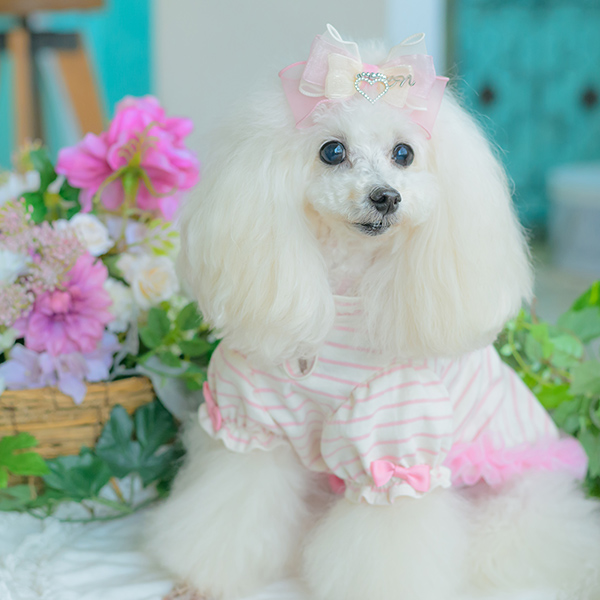 オーガンジー＆オープンハートバレッタ01