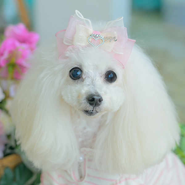 オーガンジー＆オープンハートバレッタ10