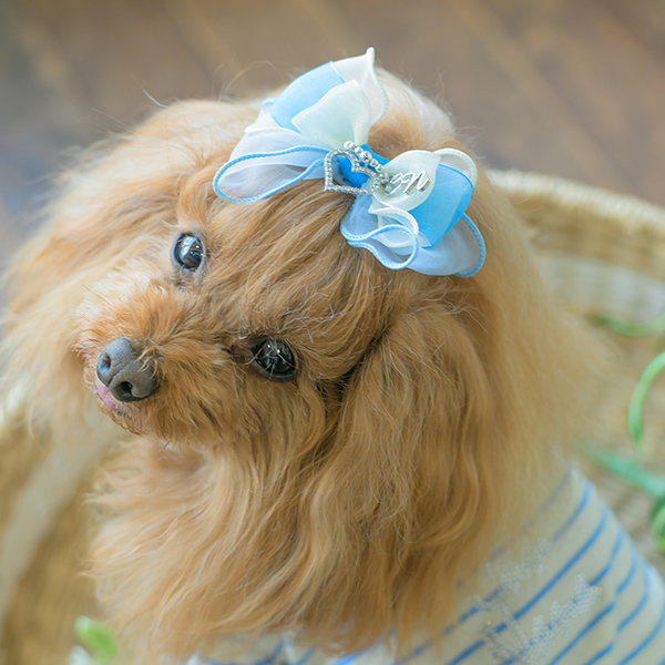 オーガンジー＆オープンハートバレッタ11