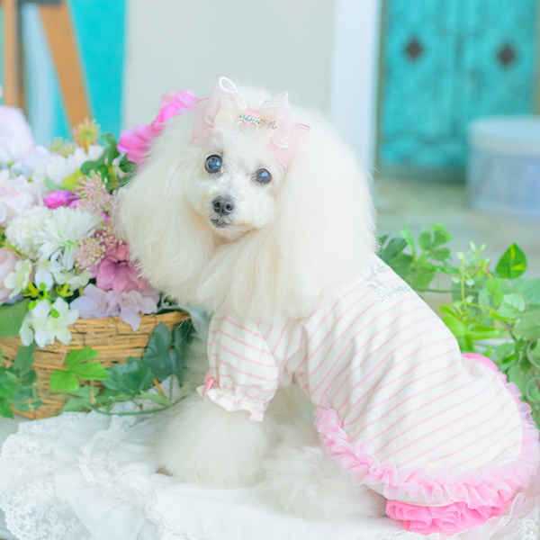 オーガンジー＆オープンハートバレッタ12