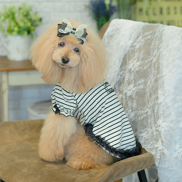 オーガンジー＆オープンハートバレッタ13