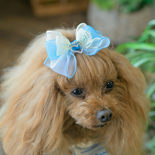 オーガンジー＆オープンハートバレッタ14