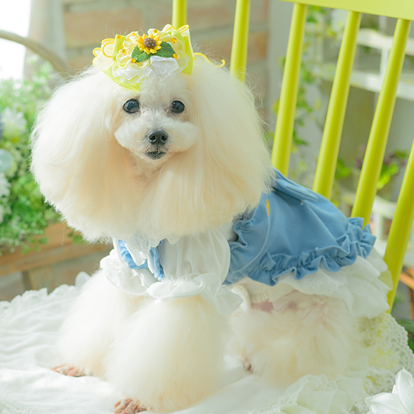 CanNana 犬 アクセサリー 夏 ひまわり バレッタ アクセ ギフト