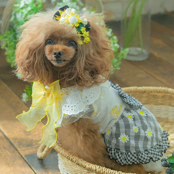 CanNana 犬 アクセサリー 夏 ひまわり バレッタ アクセ ギフト