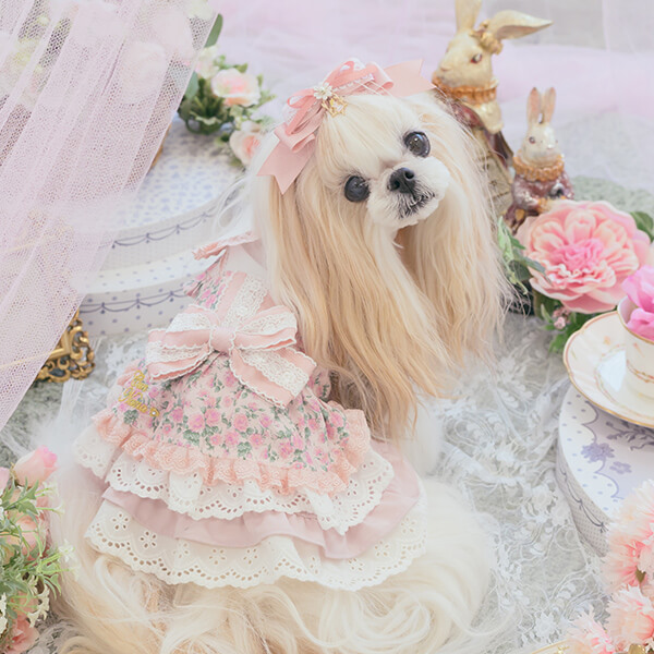 ときめくアリスの姫リボン13