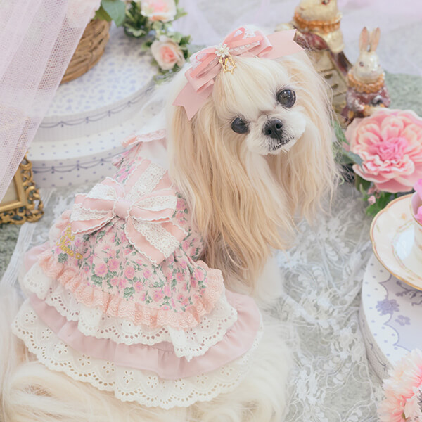 ときめくアリスの姫リボン17