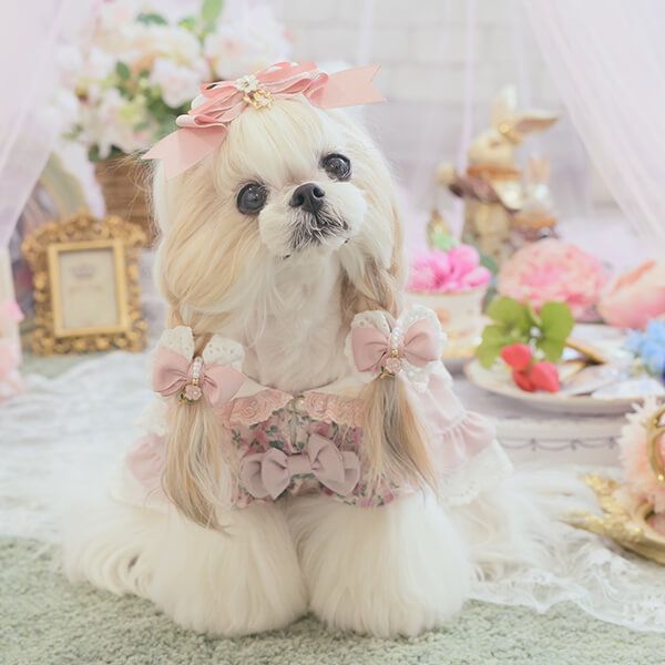 ときめくアリスの姫リボン19