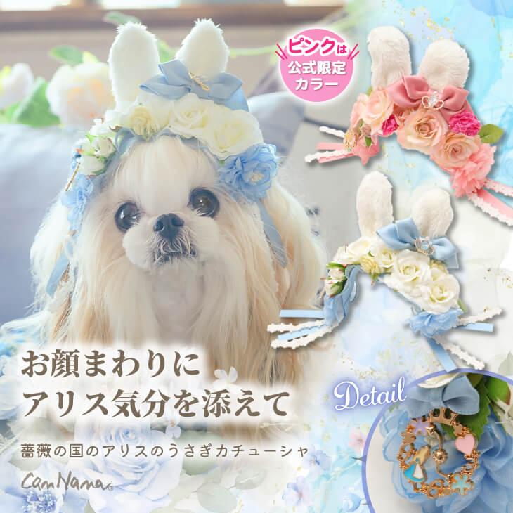公式きゃんナナオンラインショップ - Yahoo!ショッピング