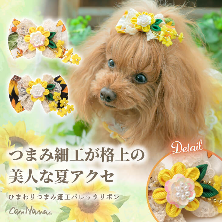 公式きゃんナナオンラインショップ - Yahoo!ショッピング