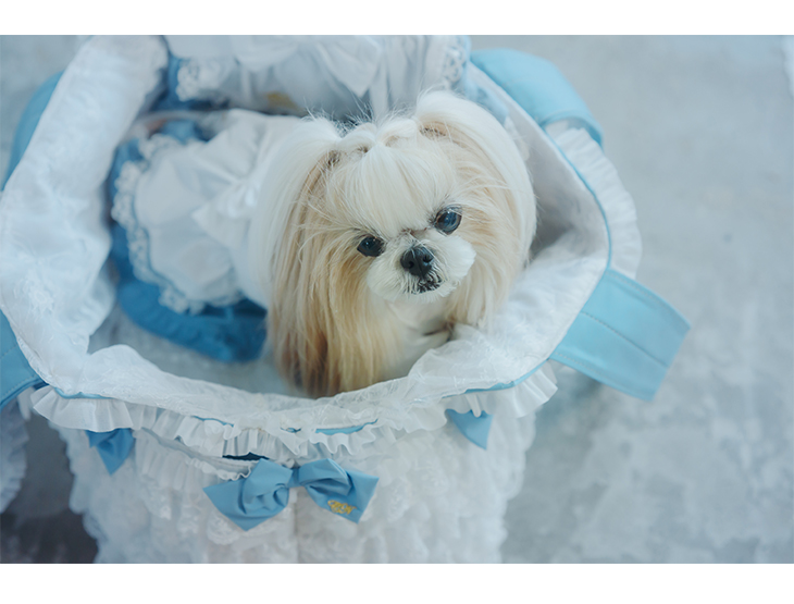 犬服 犬服 犬の服 おしゃれ ブランド セレブ 小型犬 シーズー トイ 