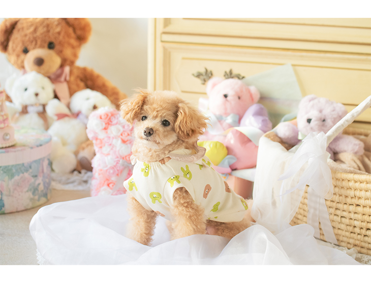 楽天市場】 メーカー別 > きゃんナナ > ペットウェア : 犬服通販