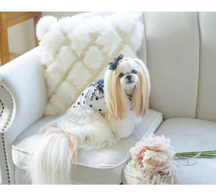 CanNana 犬 服 犬服 小型犬 ワンピース 春夏 涼しい クール