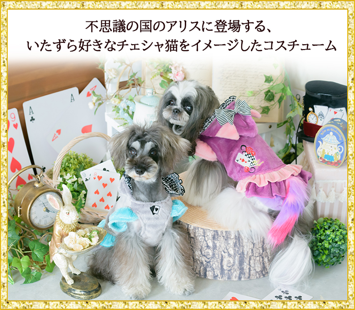 犬 服 犬服 コスプレ 小型犬 シーズー トイプードル チワワ アリス チェシャ猫 しっぽ ブランドセレブ ギフト プレゼント