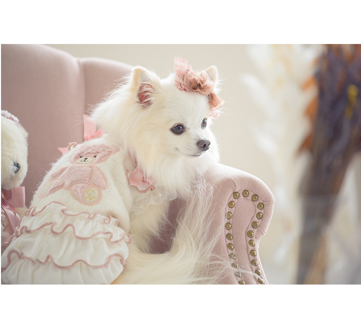 犬 服 犬服 ワンピース くま ベア 限定 くすみピンク フリル リボン 犬