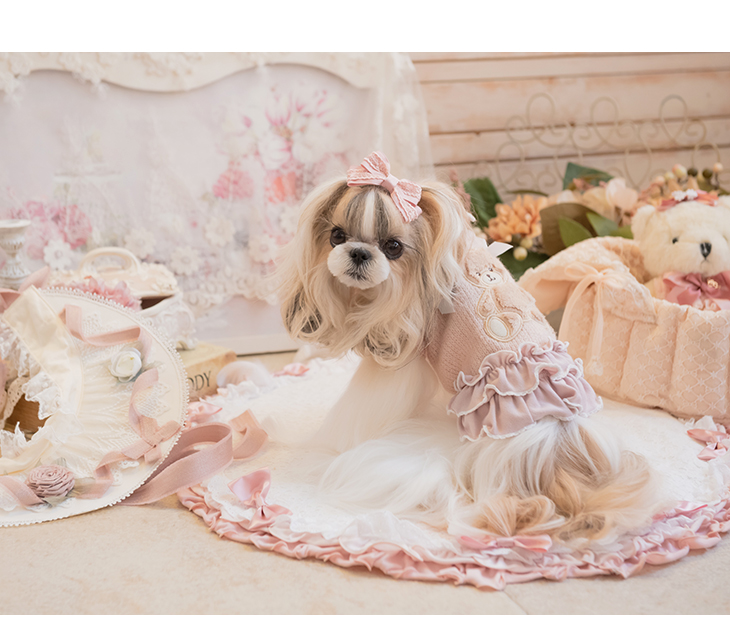CanNana 犬 服 犬服 ワンピース くま ベア 限定 くすみピンク