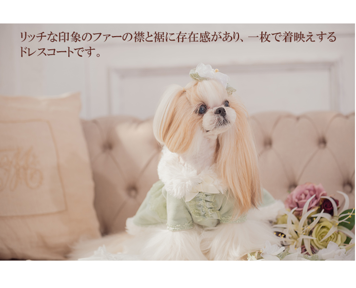 楽天市場】犬服 ワンピース ドレス 冬服 冬ワンピ きゃんナナ
