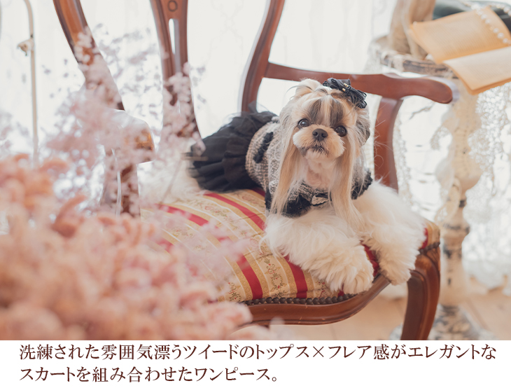 犬 服 犬服 ワンピース ツイード チュール エレガント レースリボン 犬