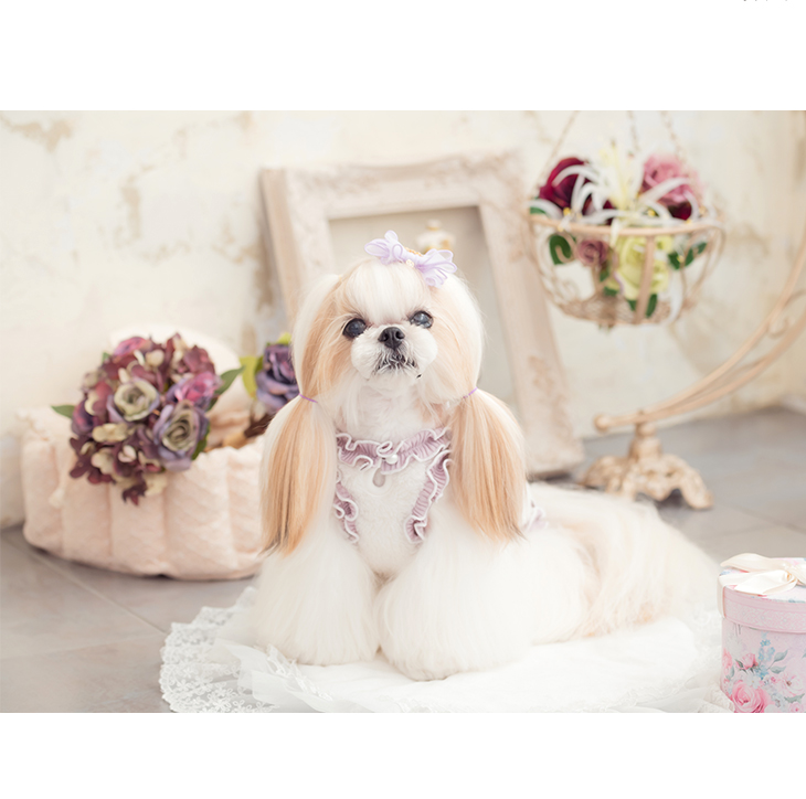 CanNana 犬 服 犬服 ワンピース ボア ふわもこ さくらんぼ チェリー