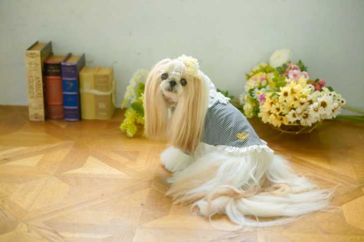 きゃんナナ CanNana フレンチガーリーブラウス 1098【小型犬 犬