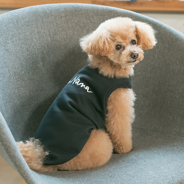 ミカン　クニオコレクションスウェット　トレーナー　犬のタートルネック MANDARINE BROTHERS 犬 服 小型犬 スウェット トレーナー