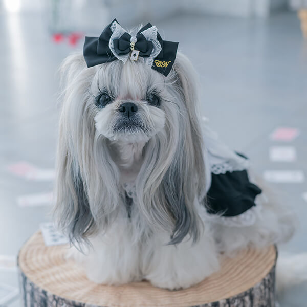 CanNana リボン バレッタ アクセサリー アリス 不思議の国のアリス