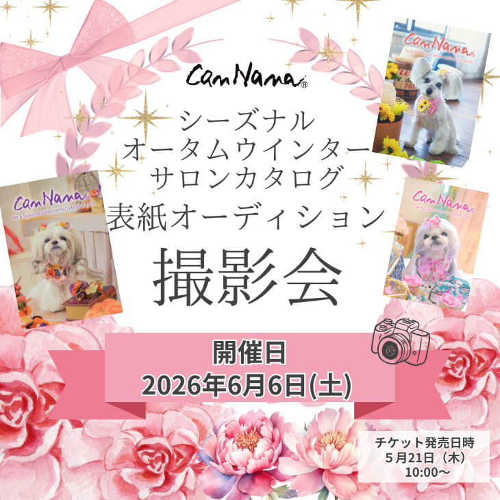 公式きゃんナナオンラインショップ - Yahoo!ショッピング