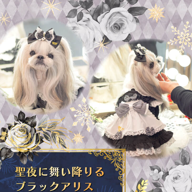 公式きゃんナナオンラインショップ - アリスブラック｜Yahoo!ショッピング