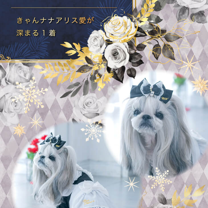 公式きゃんナナオンラインショップ - アリスブラック｜Yahoo!ショッピング