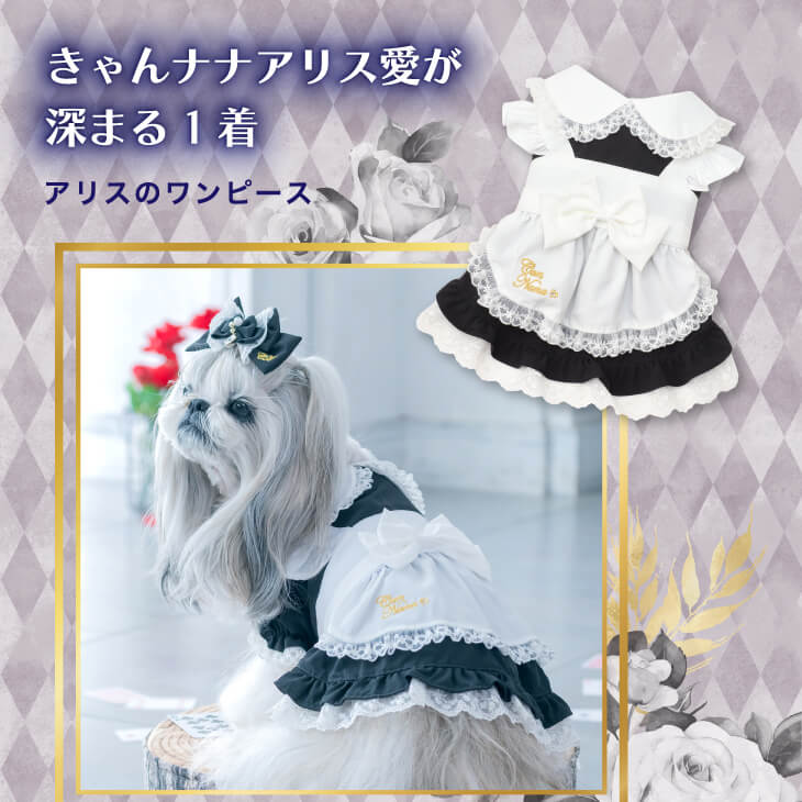 公式きゃんナナオンラインショップ - アリスブラック｜Yahoo!ショッピング