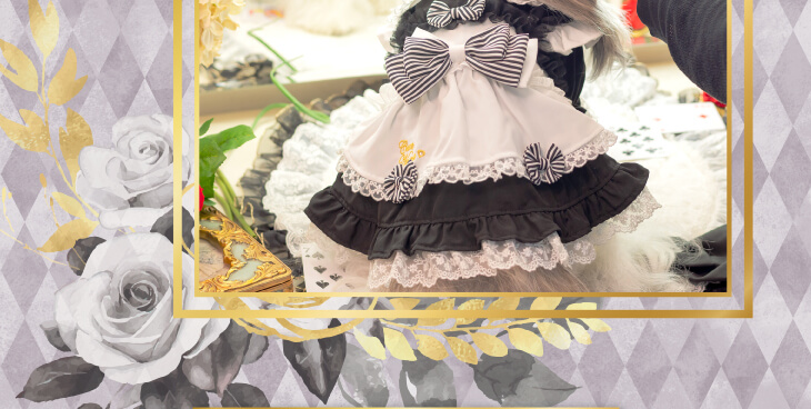 公式きゃんナナオンラインショップ - アリスブラック｜Yahoo!ショッピング