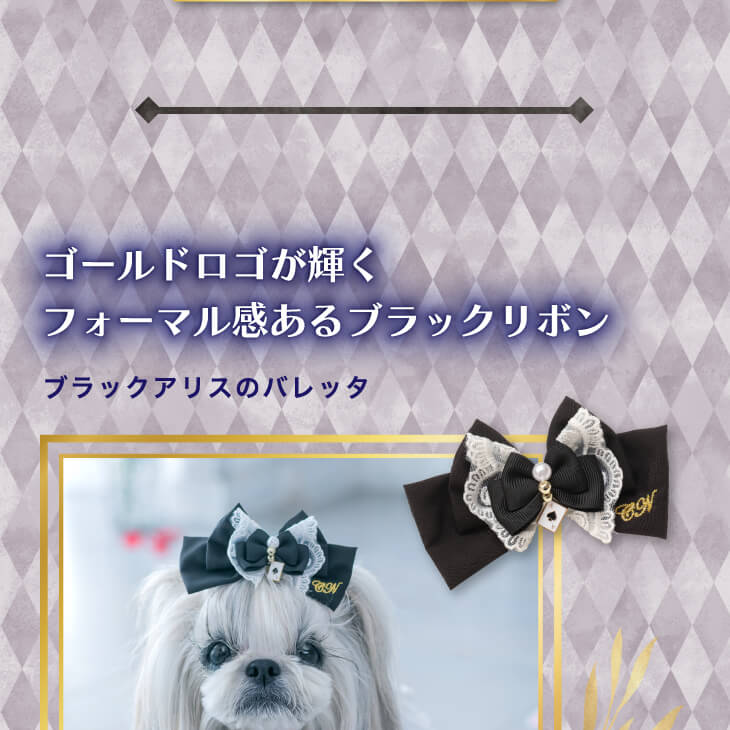 公式きゃんナナオンラインショップ - アリスブラック｜Yahoo!ショッピング