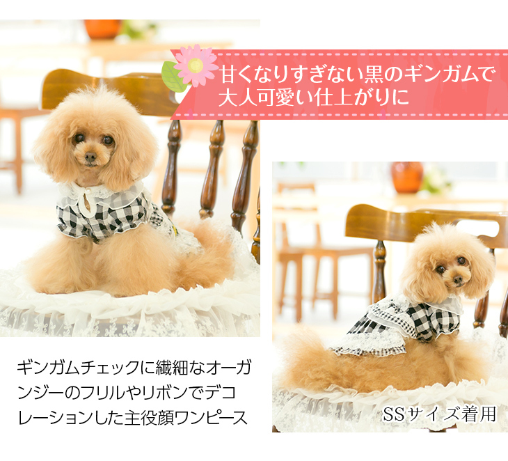 web限定 犬 服 犬服 ワンピース いちご 小型犬 シーズー トイプードル