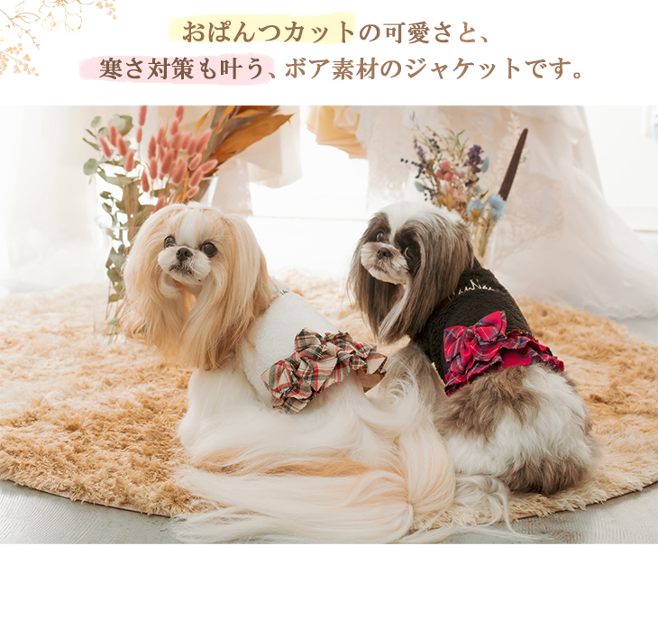 web限定 犬 服 犬服 ワンピース おぱんつカット 丈 短い 犬の服 新作