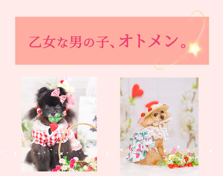 【新品未使用】キャンナナ　犬用ウェア Mサイズ ラベンダー 1050 TOPページ | きゃんナナ